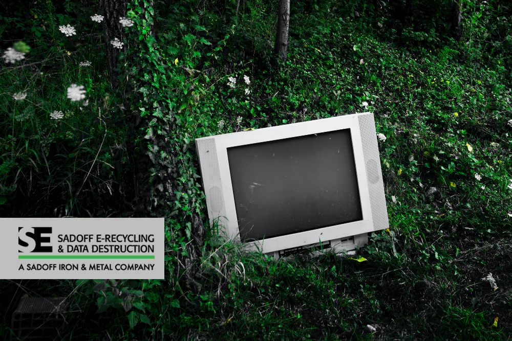 A TV in the woods with Sadoff logo