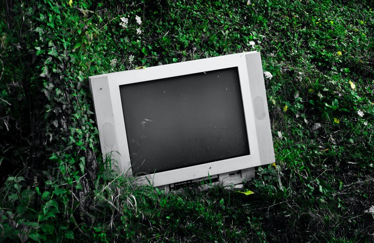 TV in a forest