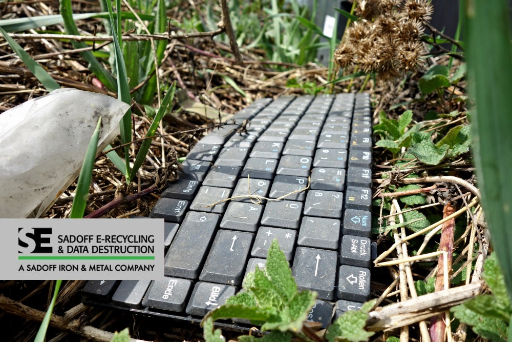 Old keyboard in the grass and Sadoff logo