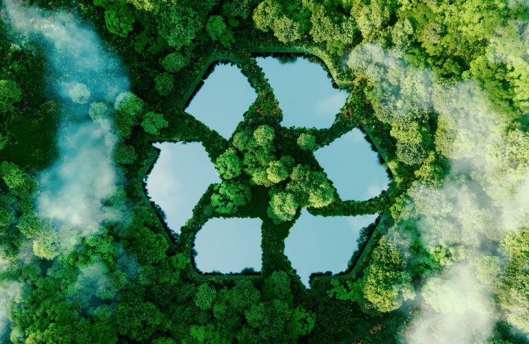 recycling symbol pond in a forest
