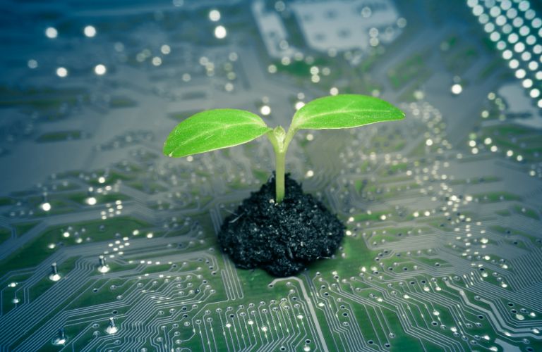 Plant growing through circuit boards