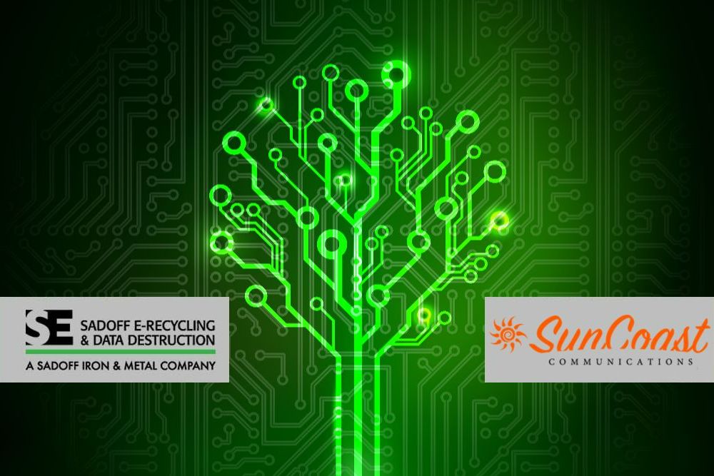 Tree in a PCB with Sadoff and SunCoast Logos