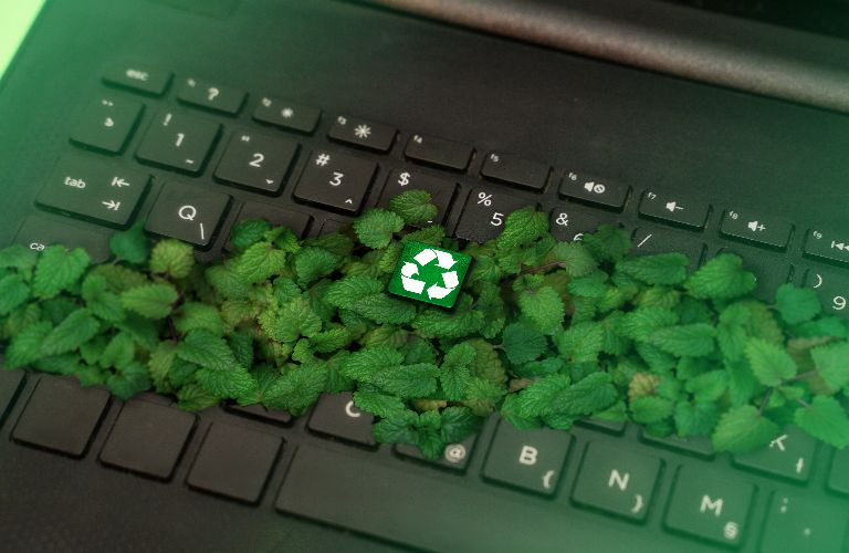 plants growing on a laptop with recycle button